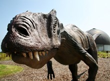 Museo del Jurasico, Asturias con niños